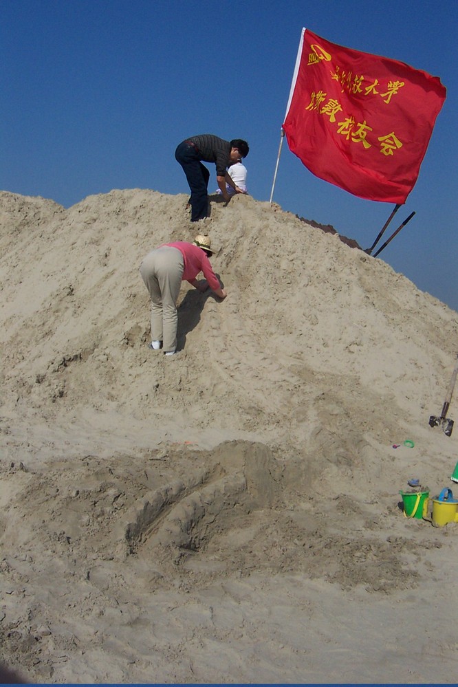 图287